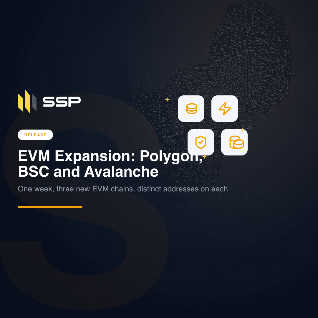 RELEASE badge with stacked-cylinder database, lightning bolt, shield-with-check and stacked-coins icons over the headline 'EVM Expansion: Polygon, BSC and Avalanche'.
